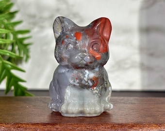 Estatueta de gato em pedra sanguínea africana natural, ornamento de cristal esculpido à mão para cura, coleção de cristais, presente espiritual de cristal.