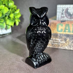 May include: A polished black obsidian owl figurine featuring carved feather details on the chest and wings, large circular eyes, and pointed ear tufts. The sculpture is depicted in a standing position with a smooth, reflective surface texture.