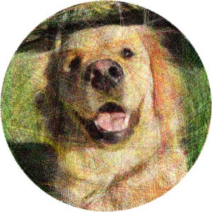 May include: A circular string art portrait of a dog, created with intersecting colored threads on a dark background. The dog has a light-colored coat, a dark nose, and an open mouth, rendered through dense, layered thread patterns.
