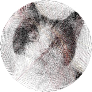 May include: A circular string art piece depicting a cat's face. The artwork uses black, white, and red threads to create the image of a cat's face. The cat's eyes, nose, and ears are visible within the design.