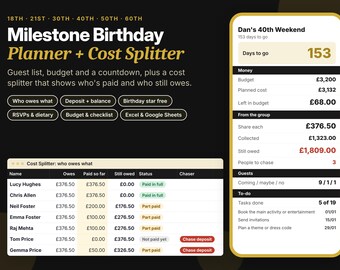 18th 21st 30th 40th 50th Birthday Planner & Cost Splitter, UK Party Budget, Google Sheets