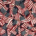 see more listings in the Patriotic Fabric  section