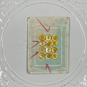 Boutons vintage en nacre jaune sur carte originale