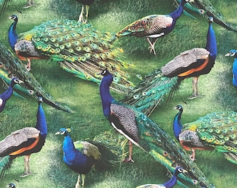 Tissu en coton paon sauvage, oiseau