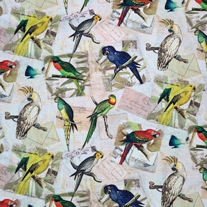 Tissu en coton avec oiseaux colorés, jardin, aviaire, faune sauvage, cartes postales, oiseau exotique, sources créatives