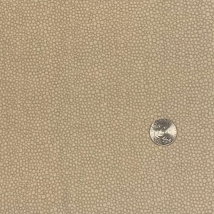 Beige Calico Cotton Fabric