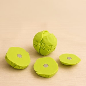 Könnte beinhalten: Ein grünes, kugelförmiges Puzzlespielzeug mit den Zahlen 2, 3 und 4. Das Puzzle ist teilweise zerlegt, mit drei grünen, blütenblattförmigen Teilen, die um die Kugel verstreut sind. Jedes Teil hat einen silbernen Magneten in der Mitte.