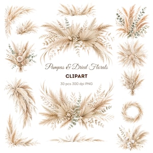 Peut inclure: Clipart à l'aquarelle avec des herbes de la pampa et des compositions florales séchées dans des tons beige, beige et vert. L'image comprend divers bouquets, des coins et une couronne. Le texte indique "Pampas & Dried Florals" et "CLIPART".