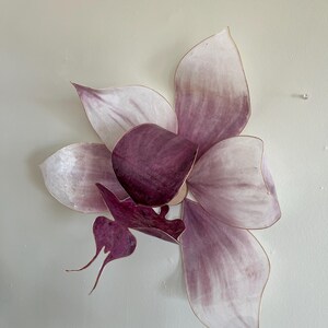 May include: A wall-mounted flower sculpture featuring layered, translucent petals in shades of pale pink and deep plum. The petals have thin, metallic-toned edges, and the center displays a dark, saturated purple hue with a distinct, elongated shape.