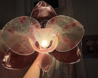 Plum and Cream Sculpted Wire Mulberry Paper Orchid Lamp, Resin Dipped Petals, Plug-in Light Fixture, Flush Wall Sconce