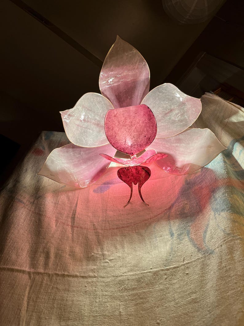 May include: A decorative wall lamp shaped like a large orchid flower with translucent, pale pink petals and a deep magenta center. The light fixture emits a soft, warm glow from within, highlighting the delicate, fibrous texture of the petals.