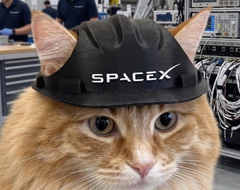 Rocket Scientist Cat Hard Hat | 3D Printed Space Engineer Pet Costume for Cats & Small Dogs | Funny Cat Helmet | Gift for Cat Lovers