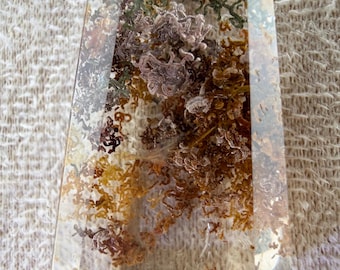 May include: A clear, trapezoidal resin pendant featuring embedded dried moss and lichen in shades of brown, green, and tan. The pendant has a faceted surface and is attached to a silver-toned metal bail, suspended from a dark cord.