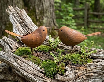 Decorazioni rustiche in metallo a forma di uccelli per il giardino, set di 2 statuette di uccelli in ferro invecchiato, finitura arrugginita, ornamenti da giardino per esterni in stile cottagecore.