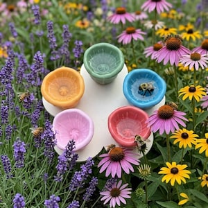 Könnte beinhalten: Ein weißer, blütenförmiger Bienenwassertränke mit sechs bunten Keramikschalen in Orange, Rosa, Rot, Blau, Grün und Hellgrün. Bienen sind in den blauen und roten Schalen zu sehen, umgeben von lila Lavendel und rosa Sonnenhutblumen.