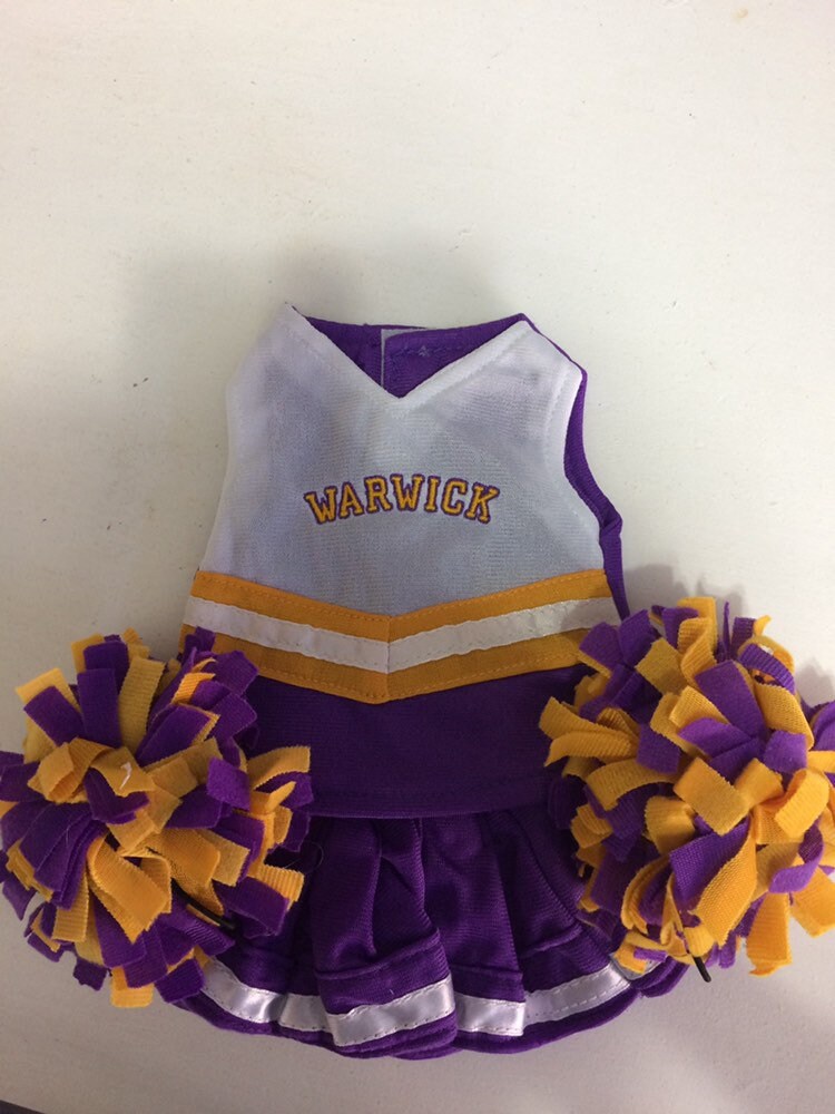 Customized Cheer Outfits for 18 Dolls including | Etsy