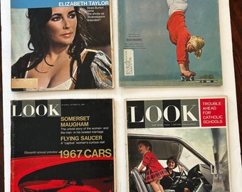 Vintage Look Life Magazine lot elizabeth taylor skateboards 1967 cars 64 cars pat mcgee