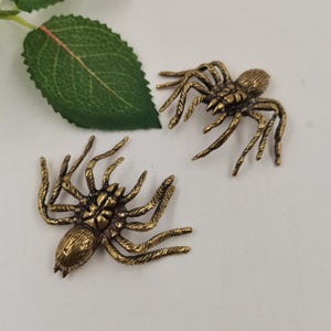 May include: Two brass-colored metal spider ornaments with detailed textured bodies and eight legs each. The spiders have a metallic finish with dark recessed areas highlighting the segmented body and leg structures. A single green leaf is visible.