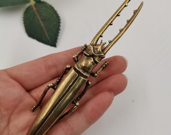 Solid Brass Stag Beetle Figurine Vintage Beetle Sculpture Mini Insect Decor Nature Gift