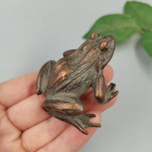 Könnte beinhalten: Eine kleine Froschfigur aus Gussmetall mit einer verwitterten, dunkel bronzefarbenen Oberfläche. Die Skulptur weist detaillierte, erhabene Texturen entlang des Rückens und der Gliedmaßen auf und fängt die natürliche Haltung eines ruhenden Frosches ein.
