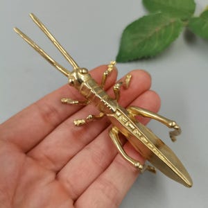 May include: A polished brass figurine shaped like a grasshopper or cricket. The insect sculpture features long, slender antennae, segmented body details, and six articulated legs extending from the sides, with a smooth, tapered tail section.