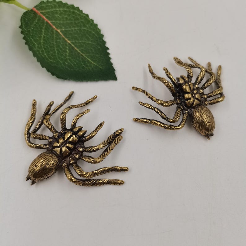 May include: Two metallic spider-shaped ornaments with a brass-toned finish, featuring detailed segmented bodies and eight textured legs each. The spiders are positioned near a single green leaf with visible veins, showcasing a realistic design.