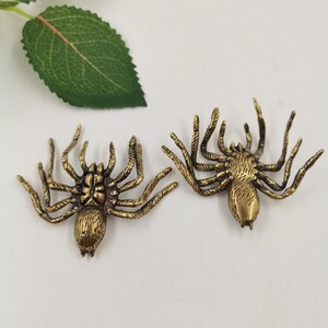 May include: Two brass-colored metal spider figurines with detailed textured bodies and eight legs each. The spiders are depicted in a flat, spread-out position, showcasing a metallic finish with dark highlights in the crevices of the molded designs.