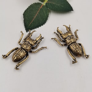 May include: Two antique brass-colored beetle figurines with detailed textures. The beetles have large mandibles and six legs, positioned as if crawling. A green leaf is visible in the background. These decorative insect sculptures are ideal for collectors or as unique home decor.