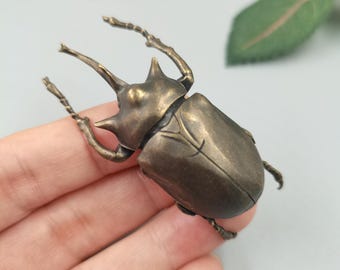 Hand Cast Solid Brass Rhinoceros Beetle Figurine: Realistic Insect Decor, Tea Pet, Collectible Gift
