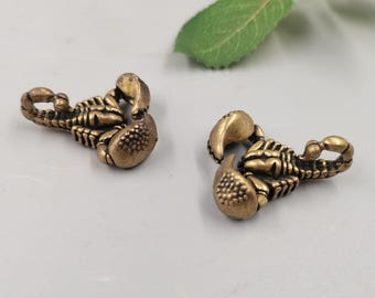 Set of 2 Solid Brass Scorpion Figurines: Vintage Copper Tone Amulets, Gothic Desk Decor