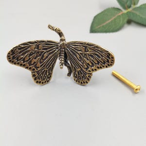 Peut inclure: Un bouton de meuble en métal couleur laiton en forme de papillon avec des motifs d'ailes détaillés et une surface texturée. Le bouton papillon présente un corps central et des antennes étendues, accompagné d'une vis de fixation dorée.