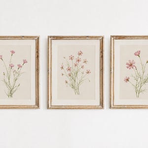 Puede incluir: Un conjunto de tres marcos de pared rectangulares con acabado de madera clara, cada uno con una impresión botánica sobre fondo crema. Las láminas muestran delicadas flores de cosmos rosas con tallos y hojas verdes finas y detalladas.