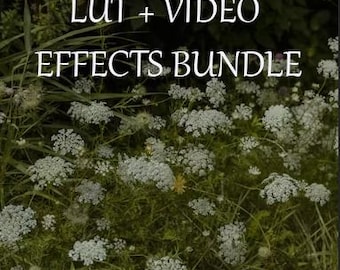Paquete de LUTs y efectos de vídeo estilo Cottagecore (Premiere Pro, Final Cut Pro, DaVinci Resolve, Capcut)