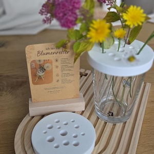 Einzelne blumenhalter