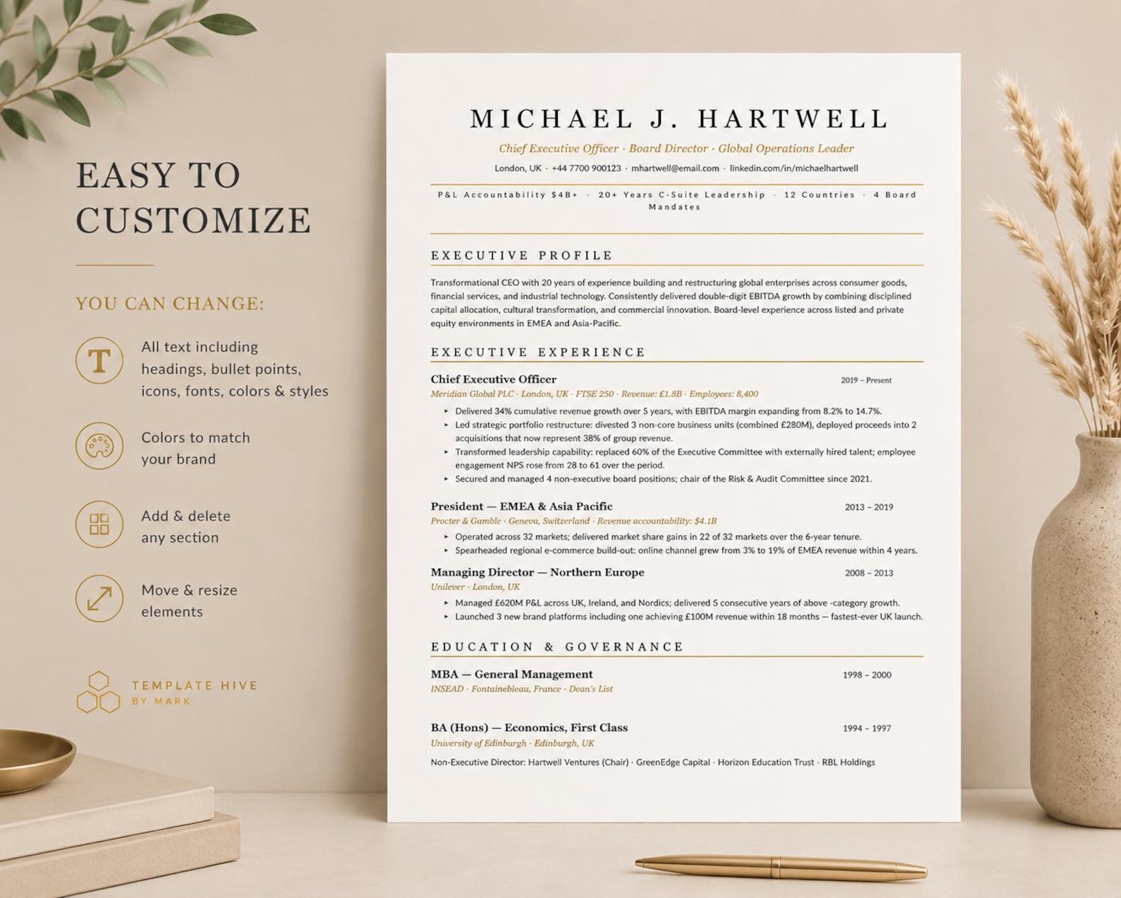 Executive Resume Template - Etsy