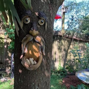 May include: A whimsical tree face sculpture with large, expressive eyes and a detailed beard. The sculpture is attached to a tree trunk, creating a unique outdoor decoration. The face has a neutral expression and is painted in natural tones.