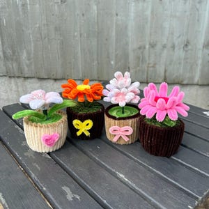 Può includere: Cinque fiori fatti a mano con scovolini in piccoli vasi. I fiori sono rosa, arancioni e bianchi, con steli e foglie verdi. I vasi sono marroni e beige, alcuni con fiocchi e cuori.