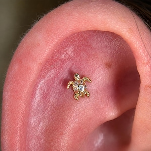 May include: A gold-toned ear stud shaped like a sea turtle, featuring a central clear gemstone on the shell surrounded by smaller clear stones along the limbs and head, secured in the cartilage of an ear.