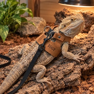 Puede incluir: Un arnés de ante color tostado para lagarto con una anilla en D de metal negro y una correa de nailon negro. El arnés está personalizado con el nombre IGGY grabado en letras negras en el lateral. Se asegura con una hebilla de metal.