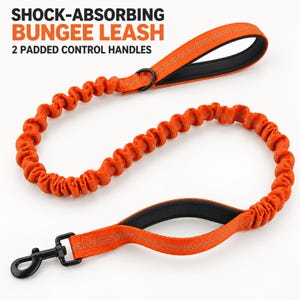 May include: An orange shock-absorbing bungee leash with two padded control handles and a black metal clasp. The text SHOCK-ABSORBING BUNGEE LEASH 2 PADDED CONTROL HANDLES is visible at the top. The leash features reflective stitching throughout.
