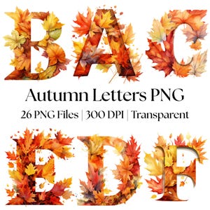 May include: A digital collection of alphabet letters B, A, C, E, D, and F formed from vibrant autumn maple leaves in shades of red, orange, and yellow. The text Autumn Letters PNG, 26 PNG Files, 300 DPI, Transparent is displayed in black.