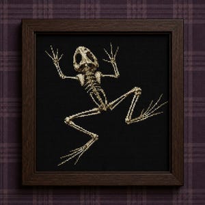 May include: A framed cross-stitch embroidery featuring a beige frog skeleton centered on a solid black fabric background. The artwork is enclosed in a dark brown wooden frame with a square profile, displaying detailed bone structures in light thread.