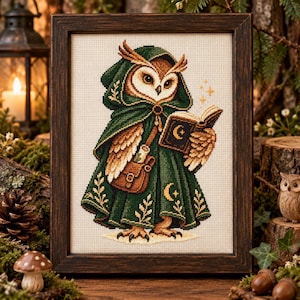 May include: A framed cross-stitch embroidery featuring an owl wearing a dark green hooded cloak with gold leaf patterns. The owl holds an open book with a crescent moon symbol on the cover and carries a brown leather satchel across its chest.