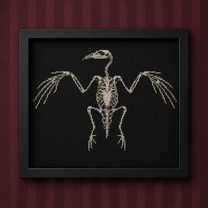 May include: A framed cross-stitch embroidery featuring a detailed off-white bird skeleton design centered on a solid black fabric background. The artwork is enclosed in a simple black rectangular frame, highlighting the contrast between the light bone structure and the dark textile canvas.
