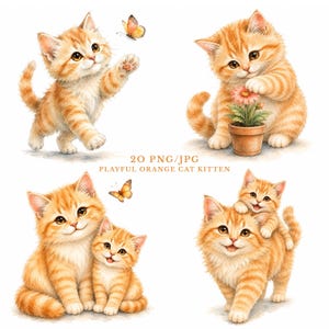 Orange Cat Clipart Watercolor Kitten Bundle Cute Ginger Tabby Cat Butterfly Nursery Animal Sublimation Junk Journal Paper Craft PNG & JPGs