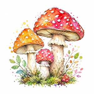 May include: A watercolor illustration of three mushrooms with red and orange caps featuring white spots. The mushrooms have light-colored stalks and are surrounded by green moss, small leaves, and tiny red berries, all set against a white background.