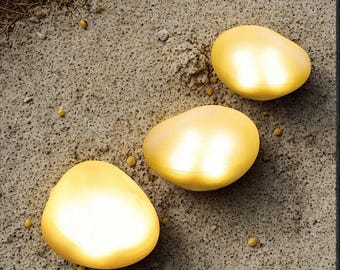 Solar Pebble Garden Light | IP65 Waterproof | White & Warm White LED