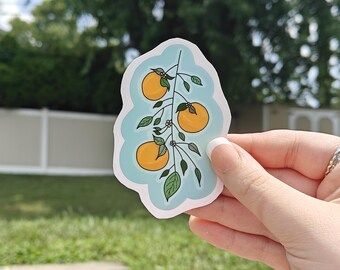 Hand Drawn Oranges Die Cut Sticker