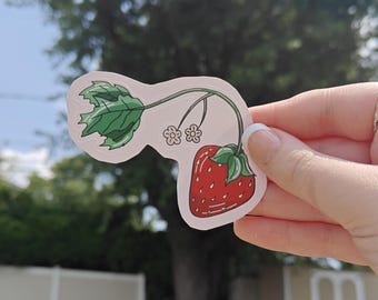 Hand Drawn Strawberry Vine Die Cut Sticker