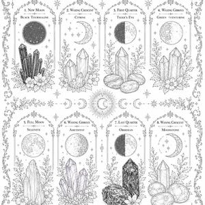 May include: A black and white illustrated guide titled Crystals & Moon Phases Guide: A Celestial Collection. It features eight arched panels depicting moon phases paired with specific crystals like Black Tourmaline, Citrine, and Amethyst.